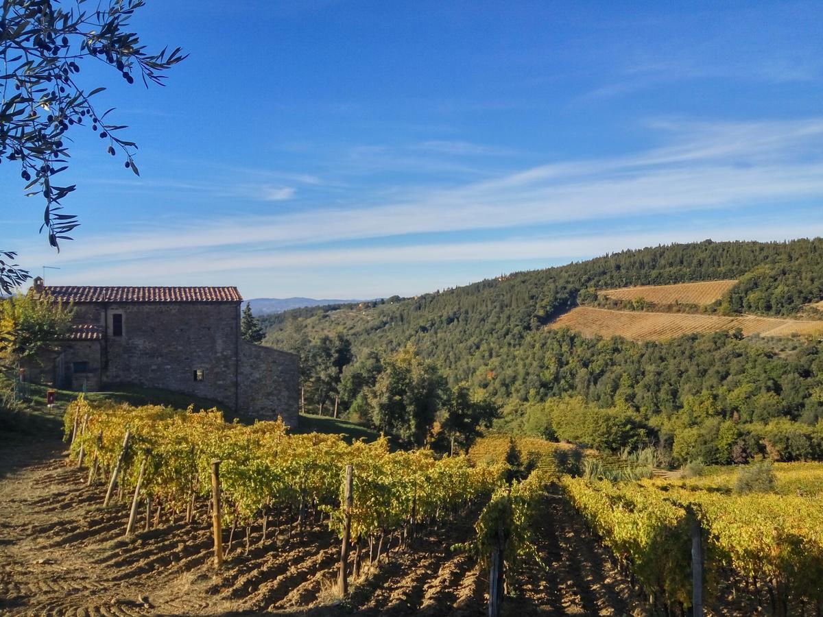 קסטלינה אין קיאנטי Agriturismo Piemaggino מראה חיצוני תמונה