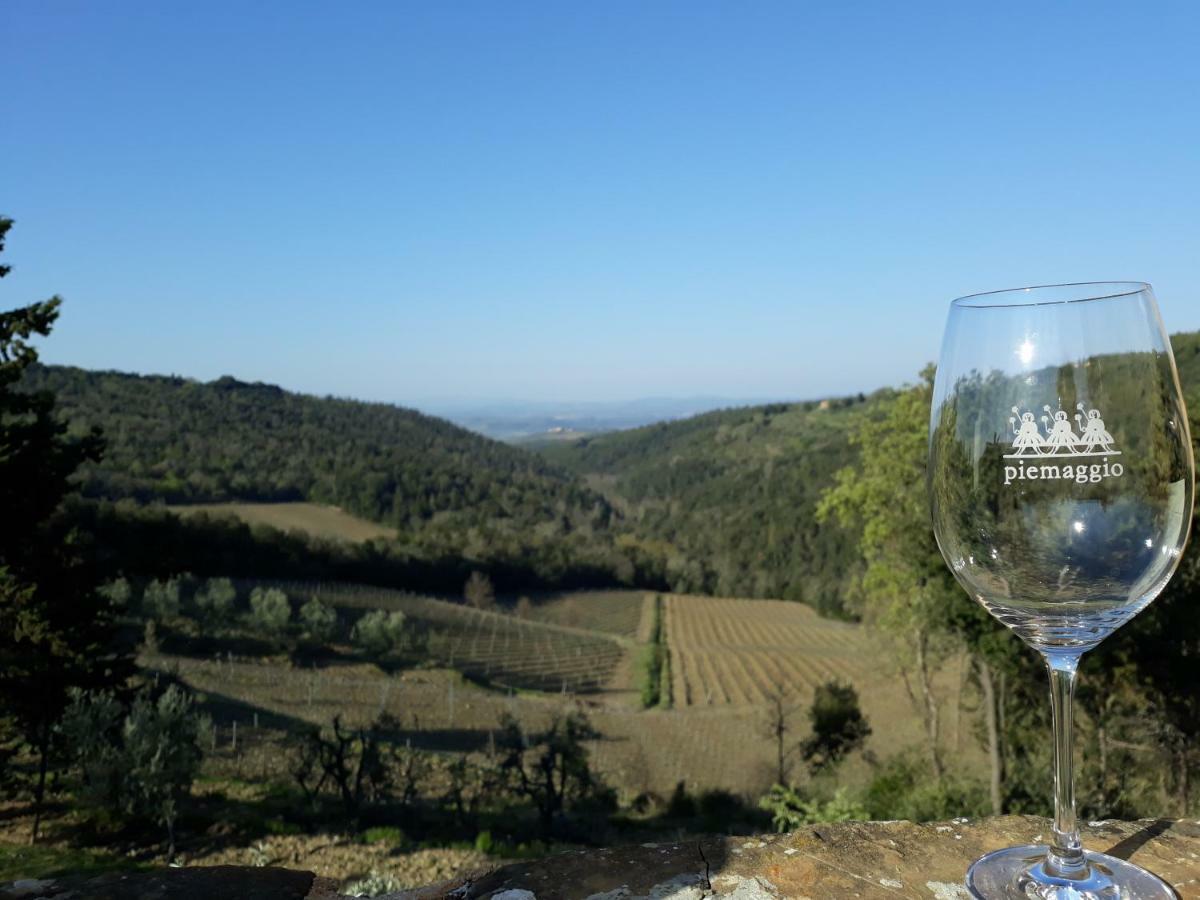 קסטלינה אין קיאנטי Agriturismo Piemaggino מראה חיצוני תמונה
